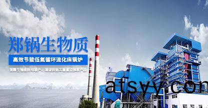 生物質(zhi)循環流(liu)化牀鍋鑪(lu)