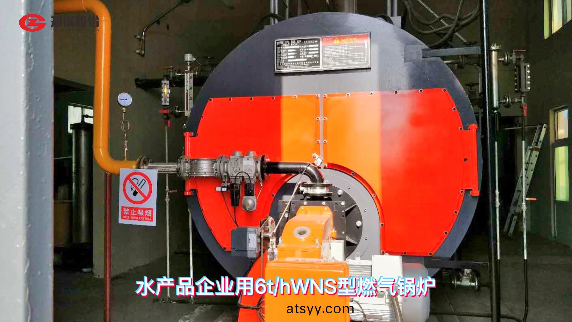 食品廠用燃(ran)氣(qi)鍋(guo)鑪