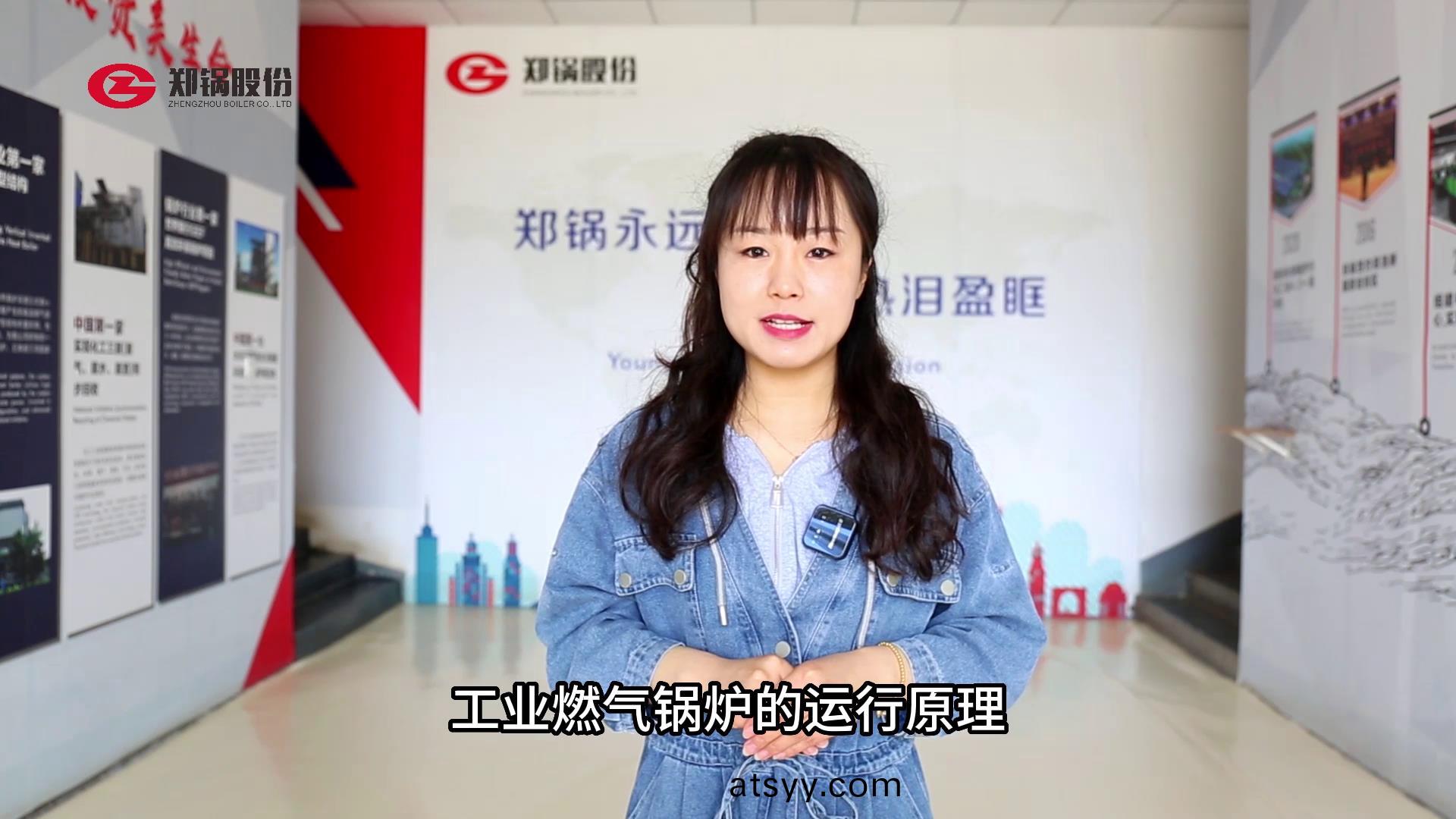 工(gong)業(ye)燃氣(qi)鍋鑪(lu)的(de)運行原(yuan)理