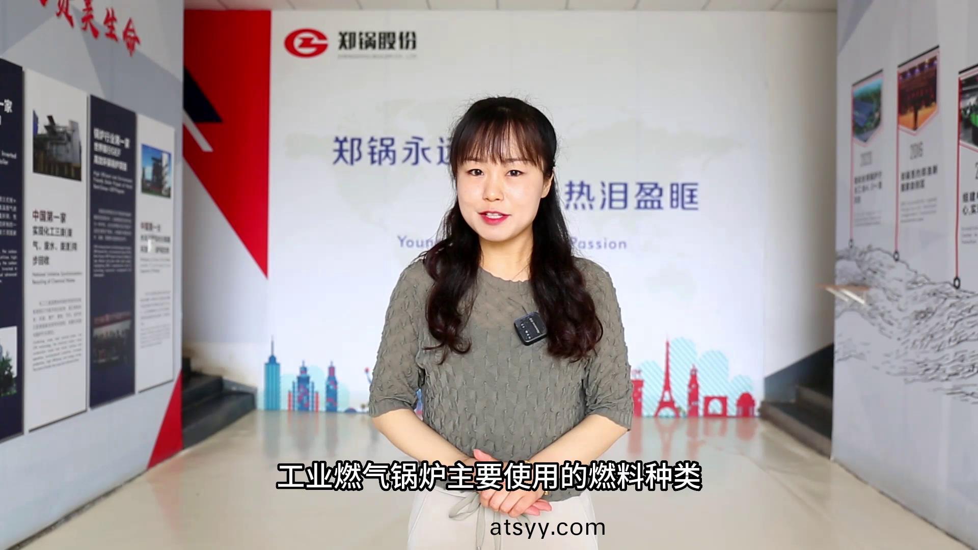 工(gong)業燃(ran)氣(qi)鍋(guo)鑪(lu)的燃料種類
