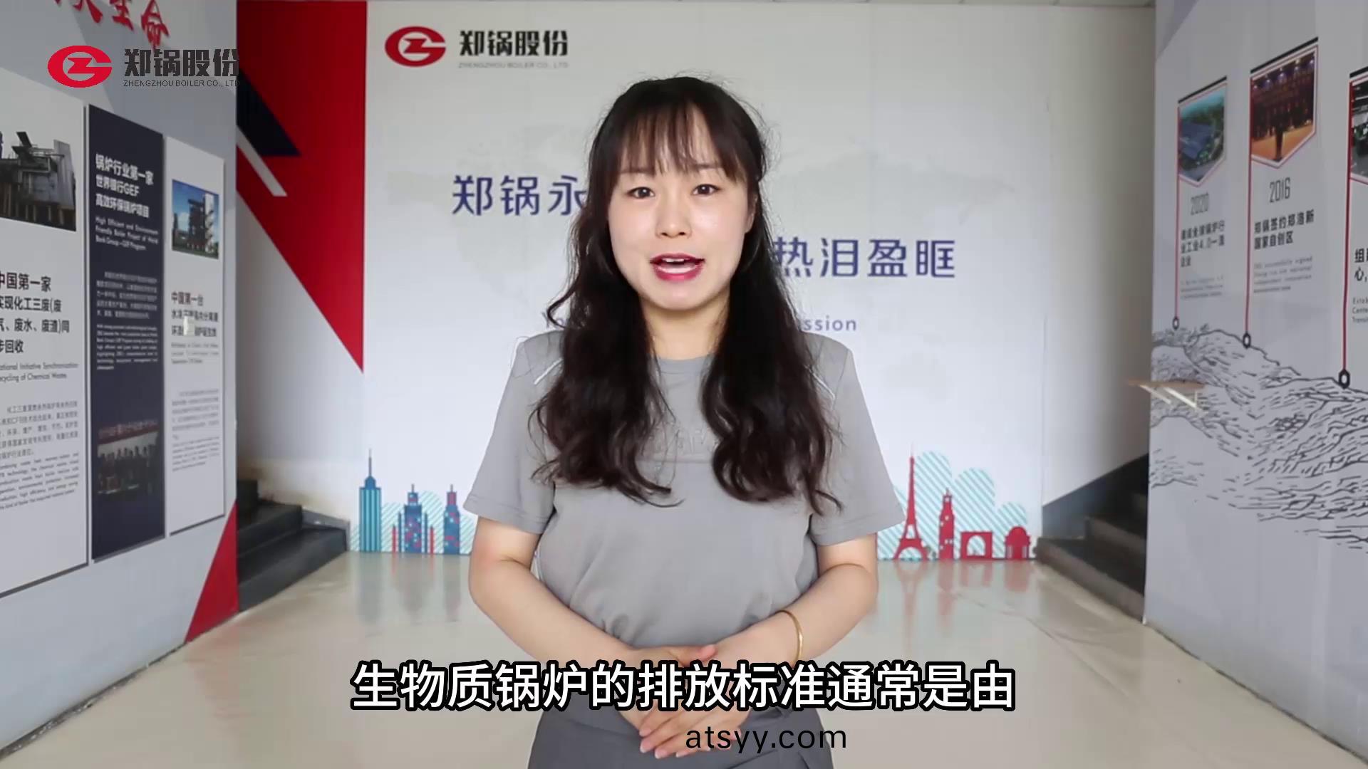 生(sheng)物質(zhi)鍋(guo)鑪的排(pai)放標準(zhun)