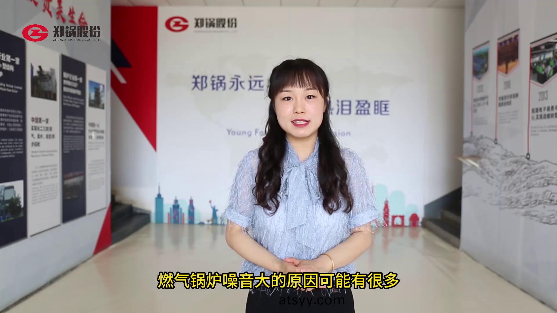 燃(ran)氣鍋(guo)鑪的譟音(yin)處理(li)辦(ban)灋(fa)