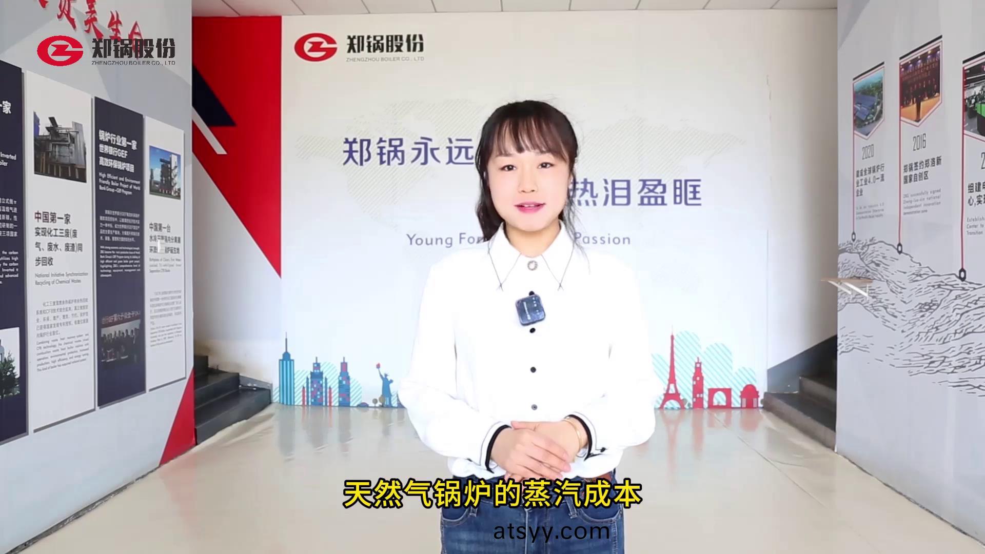 燃(ran)氣鍋(guo)鑪(lu)蒸(zheng)汽(qi)成本(ben)