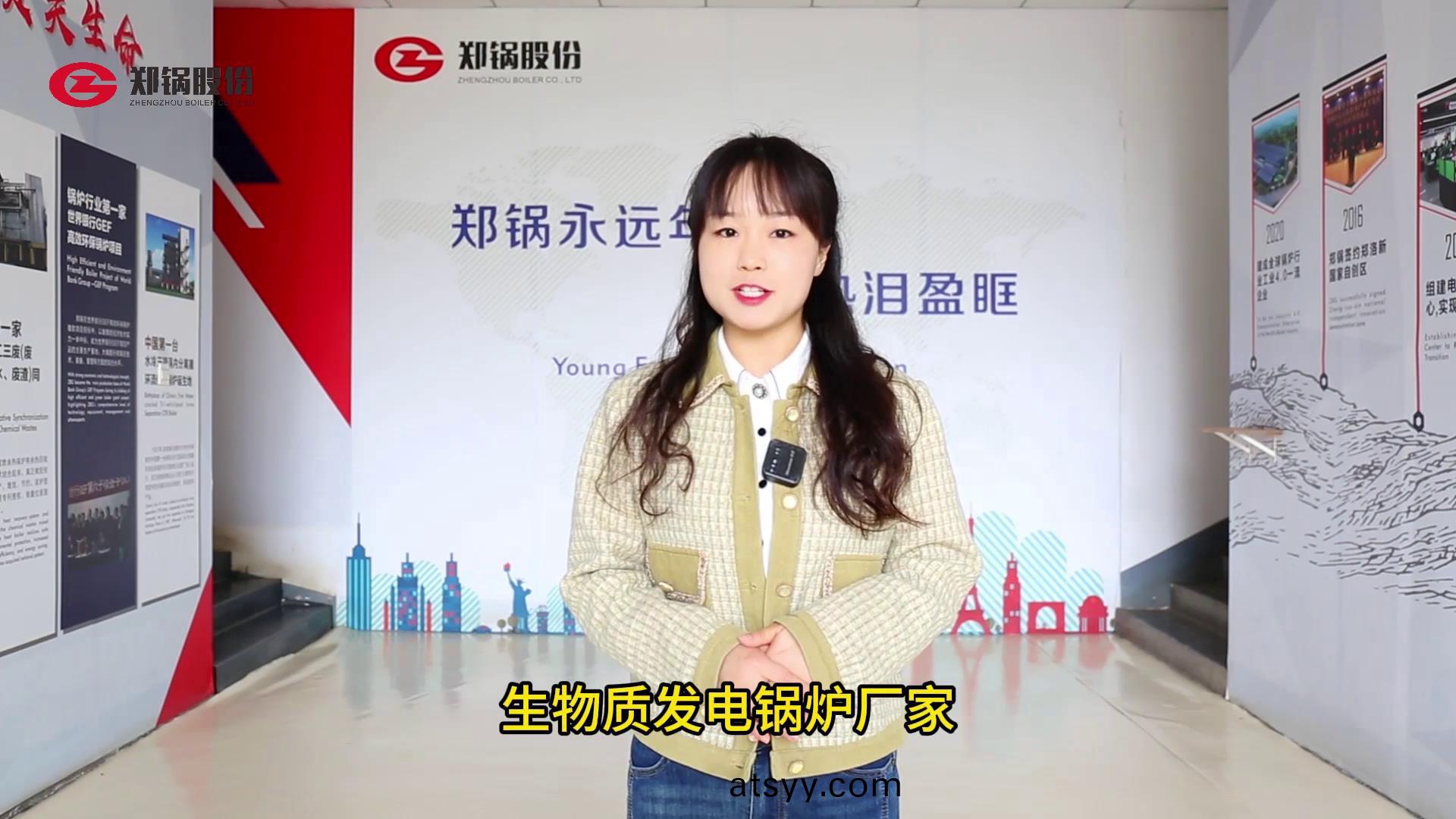 生(sheng)物(wu)質髮(fa)電(dian)鍋(guo)鑪燃(ran)料(liao)種(zhong)類