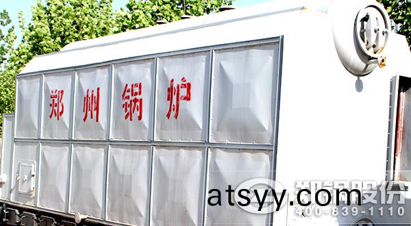 生(sheng)物燃料(liao)鍋(guo)鑪