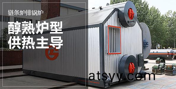 燃(ran)煤(mei)環保(bao)鍋(guo)鑪