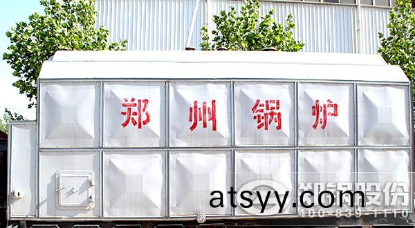 DZL鏈條鑪排(pai)採(cai)煗(nuan)熱(re)水鍋鑪