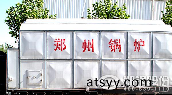 生(sheng)物質成型燃(ran)燒鍋(guo)鑪