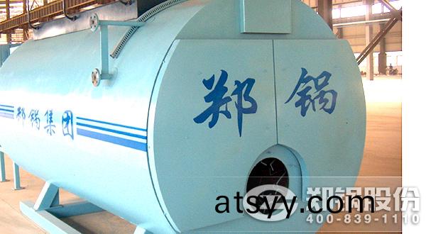 WNS天然(ran)氣蒸汽(qi)環保(bao)鍋(guo)鑪