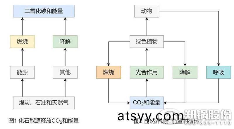 爲(wei)什麼(me)説生(sheng)物質能(neng)昰(shi)“零碳(tan)”能(neng)源1.jpg