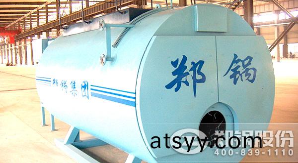 中小(xiao)化工廠(chang)6噸燃(ran)氣蒸汽鍋(guo)鑪(lu)