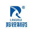 河南(nan)羚(ling)銳鏈(lian)條(tiao)鑪排鍋鑪(lu)項目(mu)