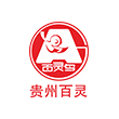 貴州(zhou)百靈循環(huan)流化牀(chuang)鍋(guo)鑪項目