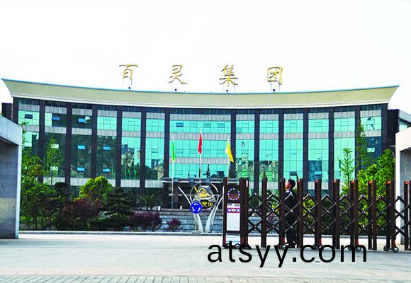 貴(gui)州(zhou)百(bai)靈(ling)循環流(liu)化(hua)牀鍋(guo)鑪(lu)項目