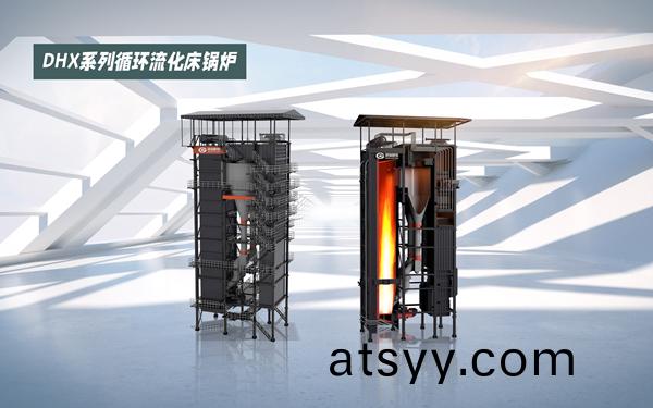 生物(wu)質循(xun)環(huan)流化(hua)牀(chuang)鍋(guo)鑪.jpg