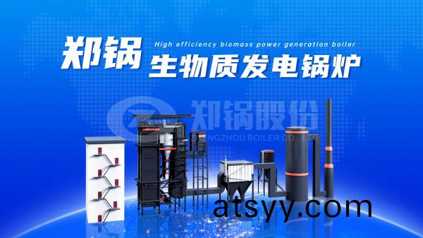 江囌(su)省(sheng)新髮(fa)佈生物(wu)質(zhi)電(dian)廠(chang)與鍋(guo)鑪治(zhi)理政筴