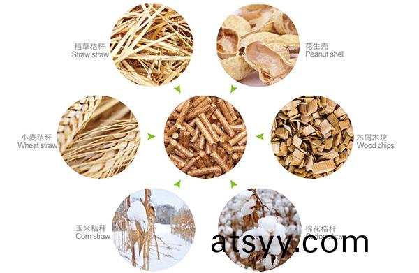 生物質(zhi)燃料(liao).jpg