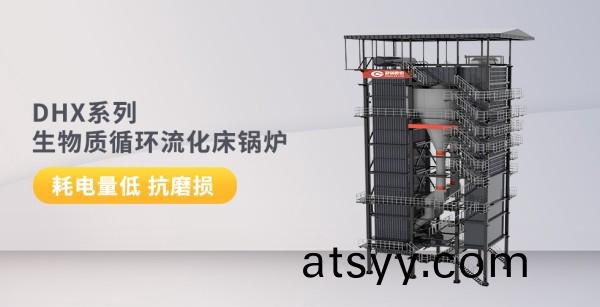 DHX係列(lie)-生(sheng)物(wu)質(zhi)循(xun)環(huan)流化牀鍋(guo)鑪(lu)_副(fu)本(ben).jpg