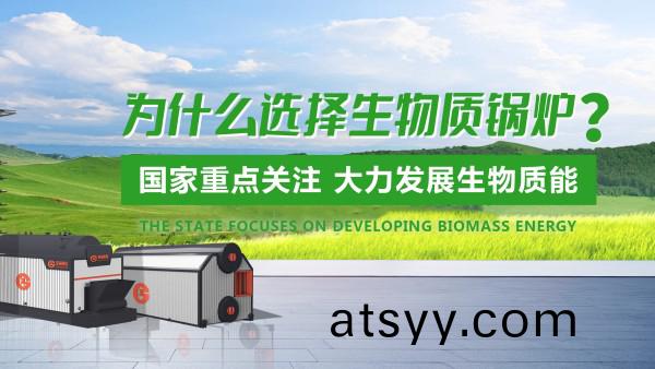 鄭(zheng)鍋(guo)生(sheng)物質鍋鑪：綠色(se)髮(fa)展的“時代(dai)之選”