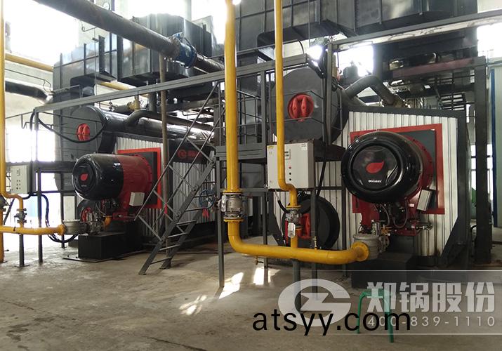 晉城東(dong)方2檯(tai)14MW（20噸）SZS燃氣(qi)熱水(shui)供(gong)熱鍋鑪項(xiang)目