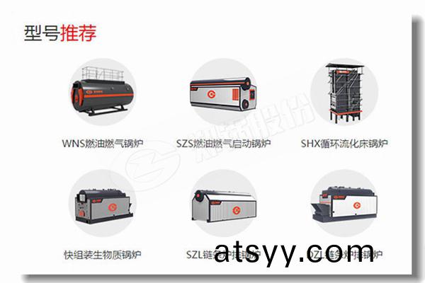 臥式(shi)燃(ran)油(you)鍋(guo)鑪(lu)水(shui)循(xun)環(huan)滑(hua)梯(ti)網