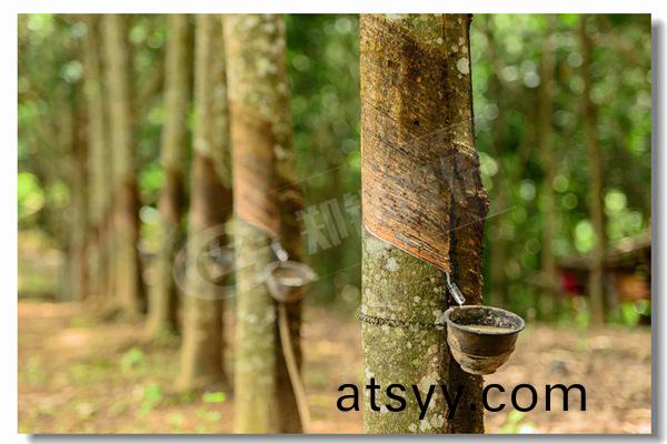 紡(fang)織工業用(yong)天然氣包裝(zhuang)式鍋(guo)鑪