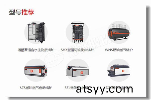 製(zhi)藥廠5噸低(di)排放汚(wu)染(ran)鍋(guo)鑪
