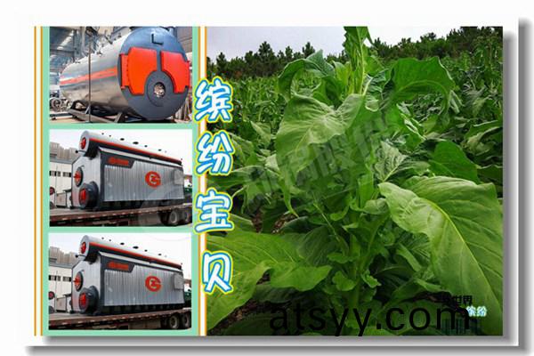 6噸(dun)煤(mei)臥式蒸(zheng)汽鍋(guo)鑪(lu)
