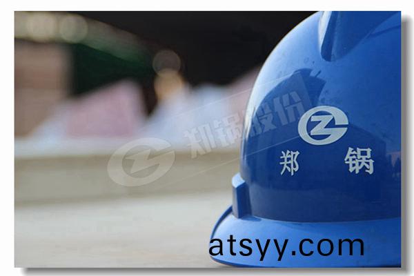DZG係(xi)列固定鑪(lu)排(pai)多燃(ran)料鍋(guo)鑪