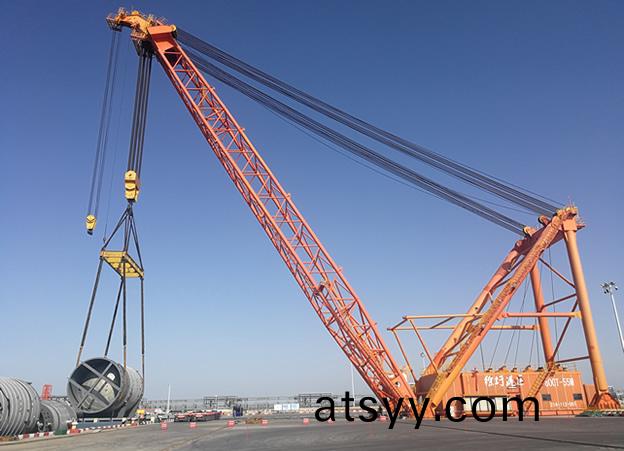 虹(hong)港(gang)石(shi)化的PTA大(da)型墖器